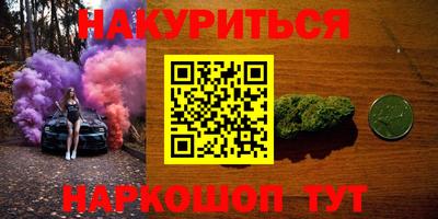 индика Краснознаменск
