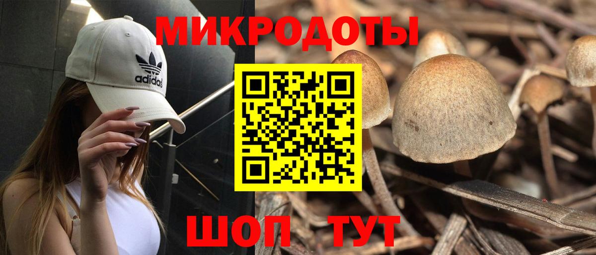 Псилоцибиновые грибы Magic Shrooms  дарнет шоп  Каменск-Шахтинский  Псилоцибиновые грибы мухоморы  Вход с VPN 