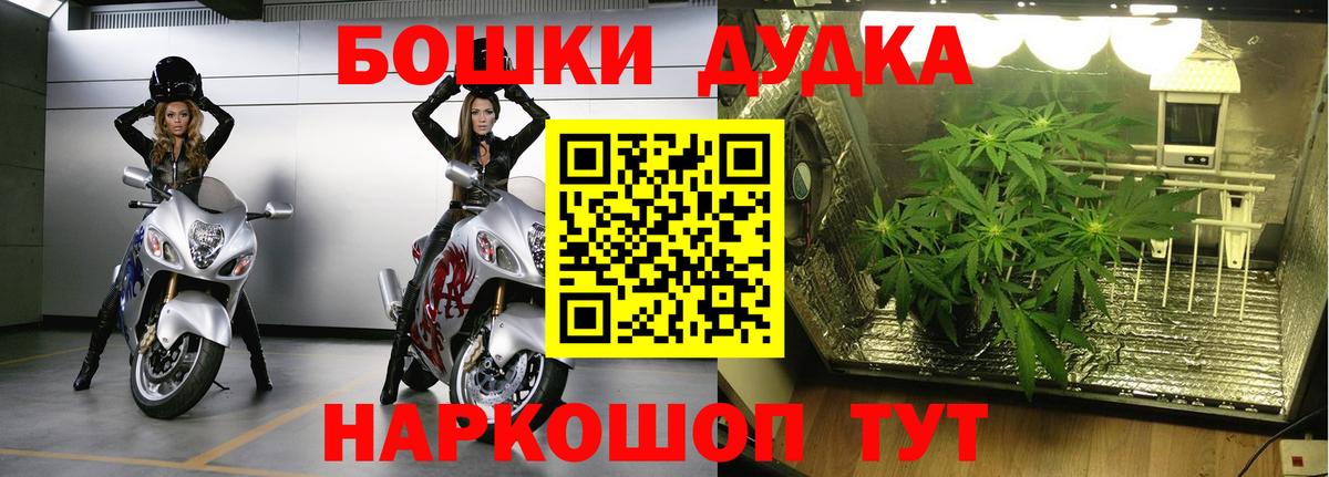 Каменск-Шахтинский  Конопля OG Kush  Вход с VPN  Шишки марихуана VHQ 